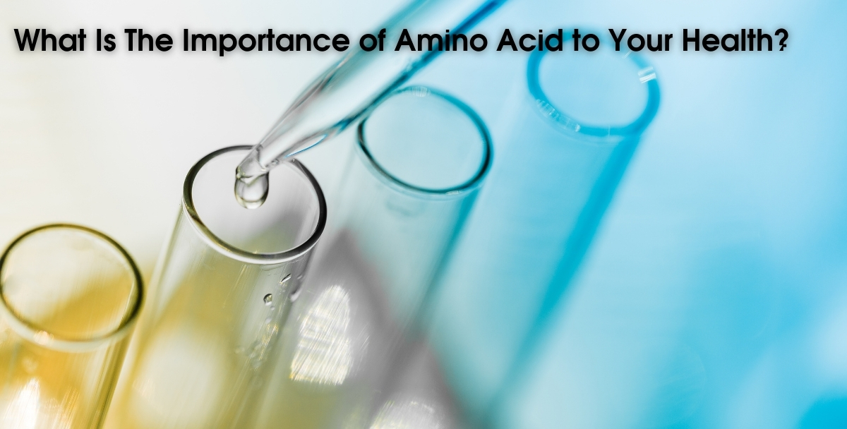 Amino Acid